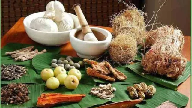 भोपाल में बनेगी प्रदेश की पहली सरकारी आयुर्वेद फार्मेसी, दवाएं आधी कीमत में