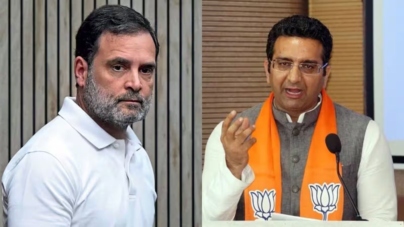 बीजेपी प्रवक्ता ने राहुल गांधी पर लगाया विदेशी ताकतों से जुड़ाव का आरोप